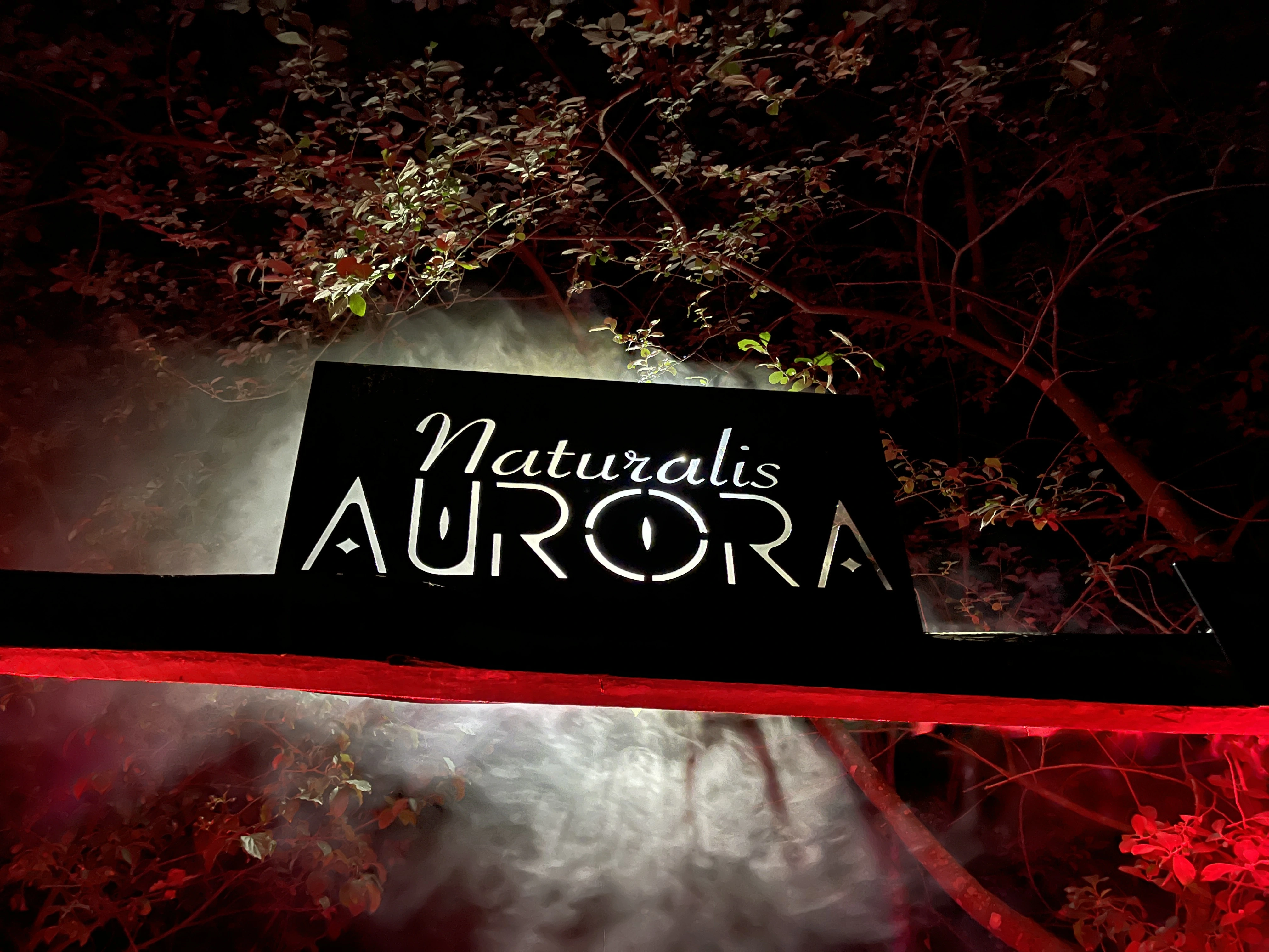 Naturalis Aurora